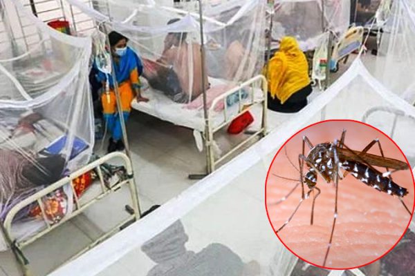 ডেঙ্গুতে চলতি বছর এ পর্যন্ত ১৩৫ মৃত্যু